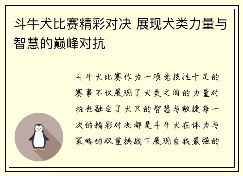 斗牛犬比赛精彩对决 展现犬类力量与智慧的巅峰对抗